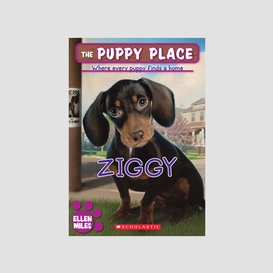 Ziggy (the puppy place #21)