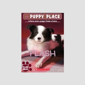 Flash (the puppy place #6)