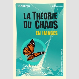 La théorie du chaos en images