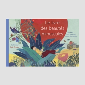 Livre des beautes minuscules (le)