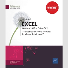 Excel 2019 - maitrisez les fonctions