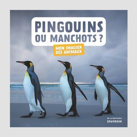 Pingouins ou manchots