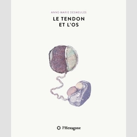 Le tendon et l'os