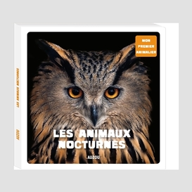 Animaux nocturnes (les)