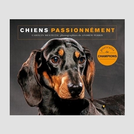 Chiens passionnement