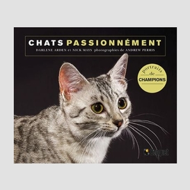 Chats passionnement