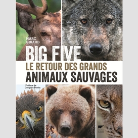 Big five retour grands animaux sauvages